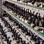 Digital Rechargeable BTE Hearing Aid – Mini Hearing Aid for Better Hearing